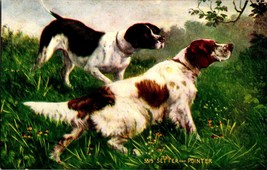English Setter and Pointer Postcard Hunting Dogs 5519 Vintage Blank Dog ... - $7.99