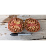 Black from Tula Tomato Seeds- Heirloom Black One of the Best Flavored Uncommon - $69.68 MXN - $87.80 MXN