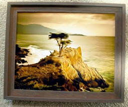 Lone Cypress Detail 2 by Barbara Snyder Framed Seascape Abstract Canvas 16x20 - £182.52 GBP