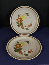 (2) Mountain Wood Collection Trellis Blossom Stoneware Dinner Plates Vtg Japan - £9.78 GBP