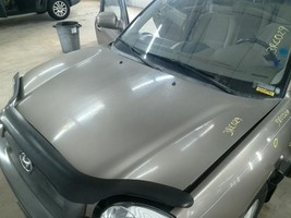 Hood Prop Struts Fits 01-06 SANTA FE 104816744Hood Only, Any Damage is M... - $2,244.80 MXN