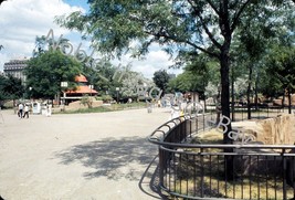 1976 Lincoln Park Zoo Grounds Scene Chicago Ektachrome 35mm Slide - £2.73 GBP
