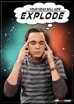 The Big Bang Theory Sheldon Saying Your Head Will Now Explode Magnet, NE... - $3.99