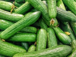 SL 25+ Seeds Alabama Cucumbers Crispy And Delicious Vegetable Planting - $3.44