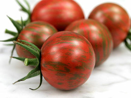 Simple Pack 5 seed Vegetable Tomato Cherry Artisan Purple Bumblebee - £6.82 GBP