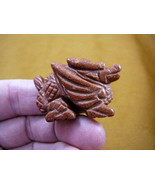 (Y-DRA-CDW-552) little Orange winged Chinese Dragon MYTHICAL carving gem... - $19.22 CAD