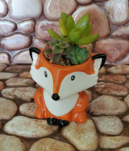 Mini Fox Planter with Succulent Arrangement, Succulent Gift, Animal Planter Pot - £13.66 GBP