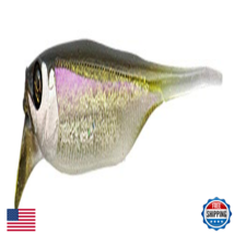 Jackall Rv Drift Fly 3 Flashing Smelt - $33.77