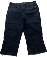 Gloria Vanderbilt The Perfect Fit Jeans Women&#39;s 12 Blue High Rise Cotton... - $20.31 CAD