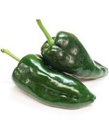 MX Premium Poblano Ancho Pepper Fresh Organic Seeds 1000 Scoville Bulk Seed - $185.40 MXN