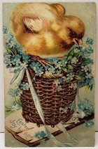 Easter Joy be Thine Chick on Basket York Springs Pa  Postcard E18 - £3.94 GBP