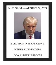 President Donald Trump Fulton County Mugshot Tweet Framed 8X10 Photo Reprint - £15.72 GBP