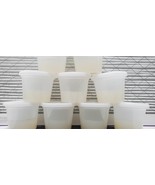 philodendron Plant Media Culturing Gel Cups Pre-Sterilized Ready To Use Product. - $20.95