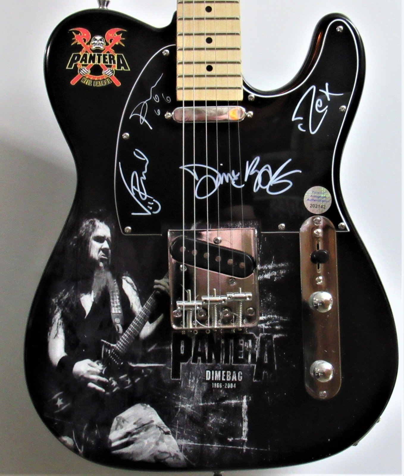 Pantera Band Signed Custom Guitar - $2,000.00