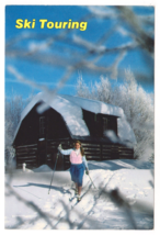 Vtg Postcard-Ski Touring in Fresh Colorado Powder-Cabin, Woman-6x4 Chrom... - $6.80