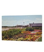 Postcard Fishermen's Houses Gardens North Hampton New Hampshire Chrome U... - $4.92