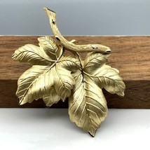 Vintage Grape Leaf Branch Brooch, Satin Finish Gold Tone Lapel or Shoulder Pin - £22.37 GBP