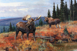 Framed canvas art print giclee moose pine tree landscape wildlife nature - £31.00 GBP+