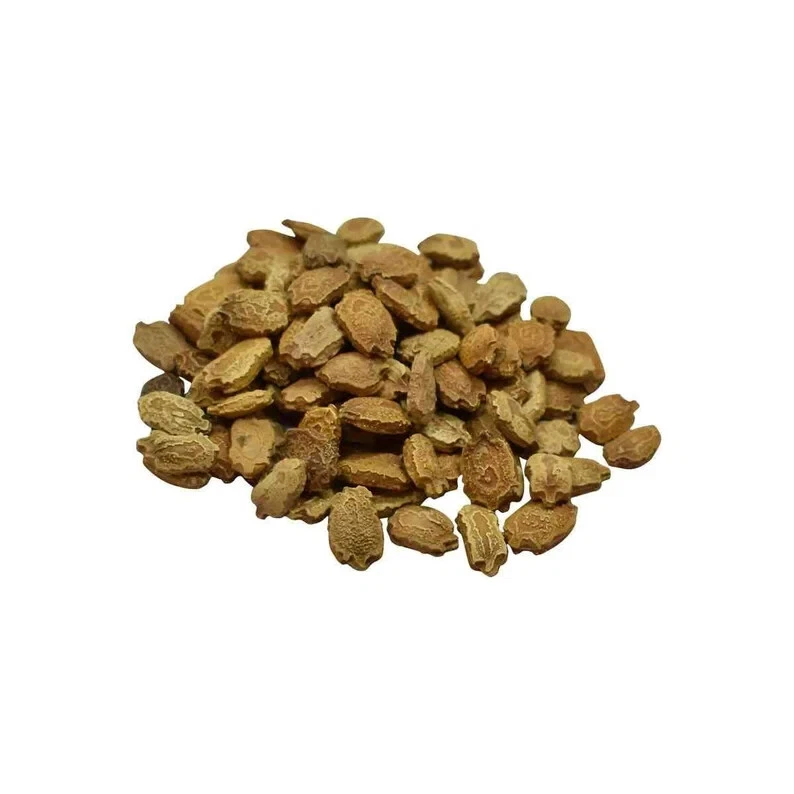 30+ Bitter Melon Seeds | Kh qua | Ku Gua Fast Growing Vegetable Seeds - $3.00