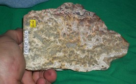 Bob Hicks Ranch Old Stock Crazy Lace Agate Chihuahua Mexico Saint Lucy Mountains - £75.49 GBP