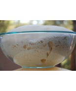 UNIQUE SOURDOUGH STARTER yeast San Francisco BEAST+ RECIPES @Fresh 21 - $7.76