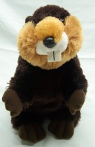 Aurora Nice Soft Brown Beaver 8&quot; Plush Stuffed Animal Toy - £11.87 GBP