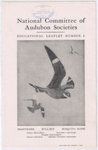 Audubon Society 1903 Educational Leaflet No 1 Nighthawk Bull-Bat Mosquito Hawk - £1.63 GBP