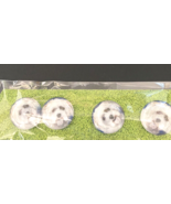 White Bichon  1.25&quot; Handmade Fridge 4 Magnets Gift - £6.11 GBP