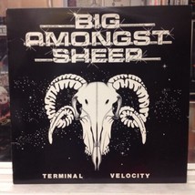 [ROCK/POP]~NM Lp~Big Amongst Sheep~Terminal Velocity~[1982 Uk Import]~Krautrock - $18.80