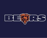 Chicago Bears Team Black Flag 3X5 Ft Polyester Banner USA 90x150cm - $20.00