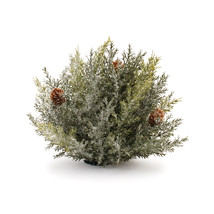 Icy Pine Half Orb with Pinecones (Set of 2) - $52.73