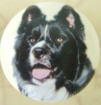 Ceramic Knobs w/ Border Collie #5 DOG - $4.36