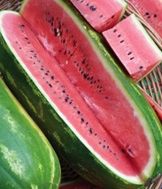 Jubilee Watermelon Seeds - Organic &amp; Non Gmo Watermelon Seeds - Heirloom Seeds - - £2.15 GBP