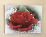 “Love's First Rose” photo 11x14 thinwrap - $134.10