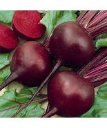 Detroit Dark Red Beet 150+ Seeds - $168.96 MXN