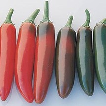 USA SELLER Serrano Del Sol Hot Pepper Seeds Fast Shipping - $9.80