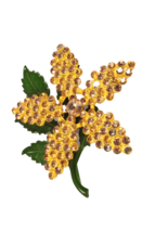 Large Yellow Rhinestone Flower Pin Brooch Green Stem Bling! - $9.49