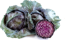 Cabbage - Red Acre, HEIRLOOM 200+ seeds 100% Organic, Non GMO, Grown in USA - $3.99