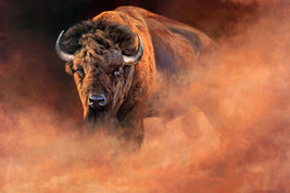 Art Wall art Western Buffalo Animal Oil Painting HD Giclee Printed on Canvas  - £9.02 GBP+