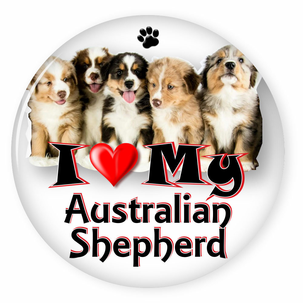 I Love My AUSTRALIAN SHEPHERD Dog Puppy 3&quot; CAMPAIGN Pin Back Button For ... - $7.99