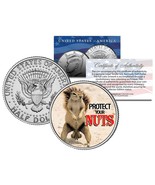 SQUIRREL POKER COIN Guard Card Cover PROTECT NUTS Colorized JFK Half Dol... - £6.73 GBP