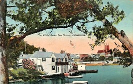 Bermuda~The White Swan Tea HOUSE~1914 Pstmk Phoenix Drug Published Postcard - £5.55 GBP