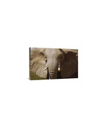 24 x 36 in. African Elephant Close Up Amboseli National Park Kenya Art P... - $223.37 CAD