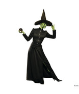 Classic witch adult x large - $141.55 CAD
