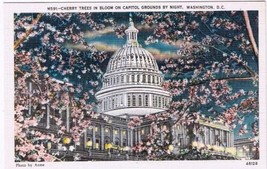 District Of Columbia DC Postcard Washington Cherry Trees Bloom Capitol Night - £1.70 GBP
