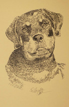 Rottweiler dog art Portrait Print #54 Kline adds dog name free. Drawn fr... - $49.45
