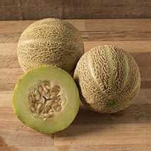 Rocky Ford Green Flesh Honey Dew Melon Seeds Gardening Fresh USA SHIPPING - $7.98