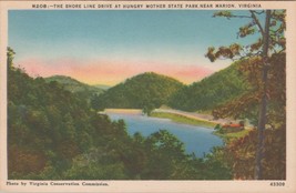 ZAYIX Postcard Shore Lake Drive Hungry Mother State Park Marion VA 102022-PC52 - £7.95 GBP