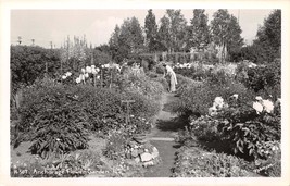 Ancoraggio Alaska Donna Tending Fiore Gardenreal Foto Cartolina c1940s - £6.76 GBP