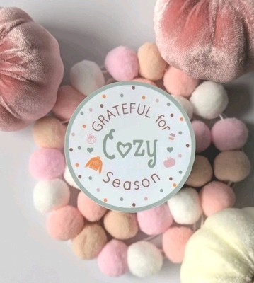 Cozy Season Vinyl Sticker Fall Winter Grateful  - $3.80